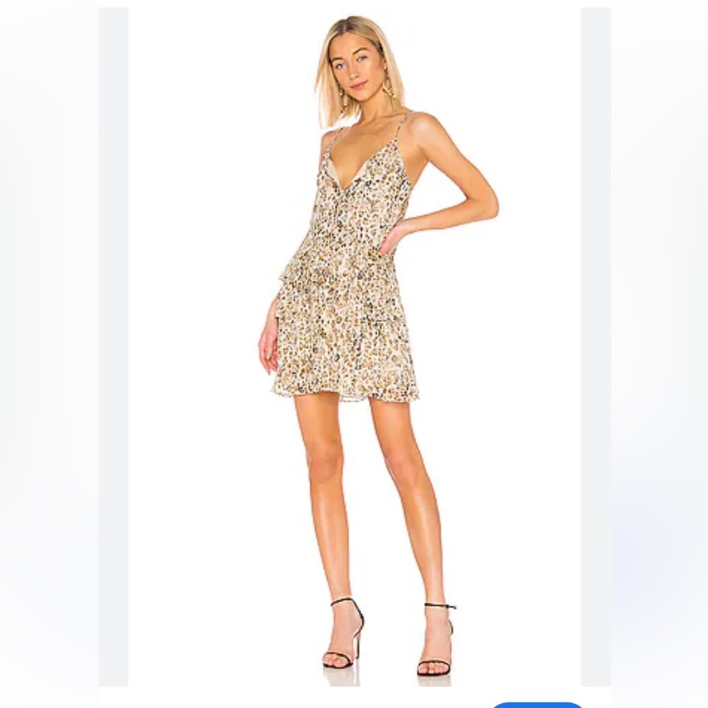 IRO Buzon Silk Leopard Print Dress size 38 US size 6